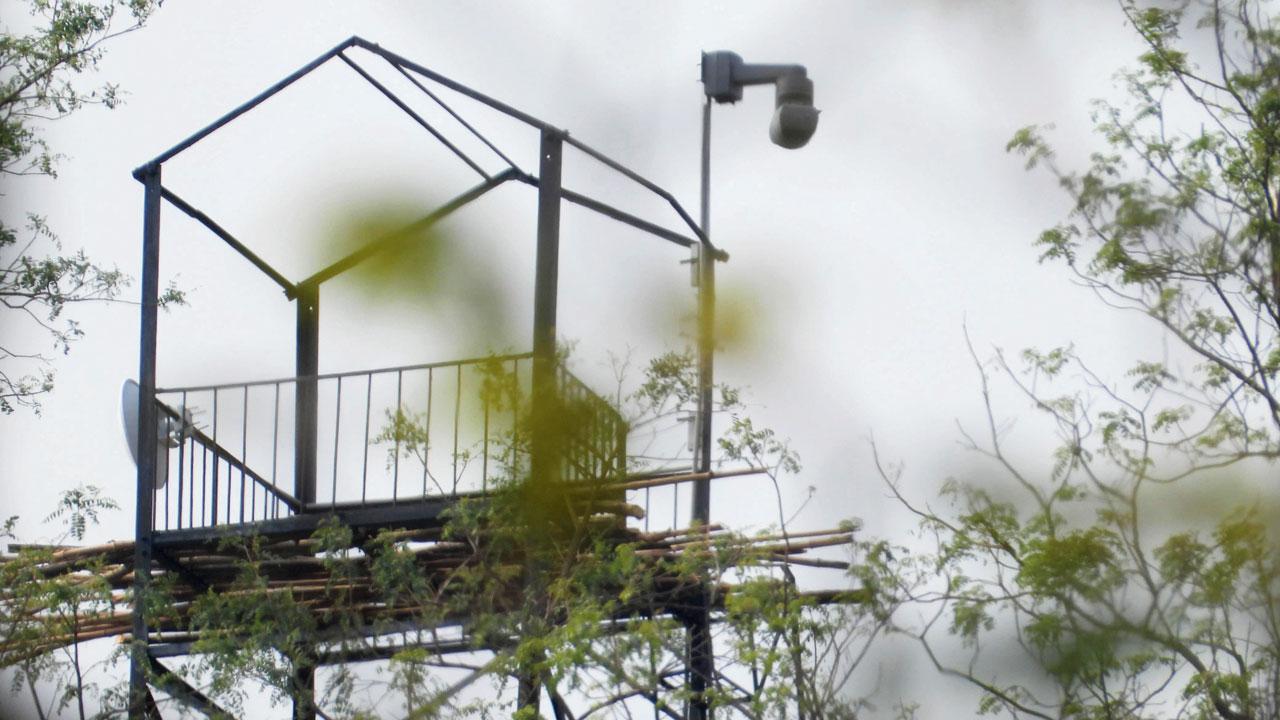 Aerial camera view of the Pench Tiger reserve 