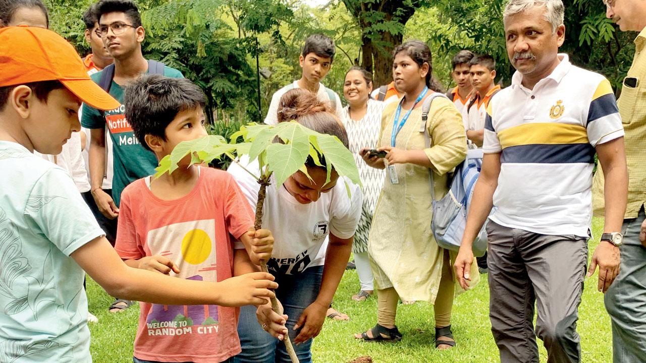 Children participate in the planting of the sardol