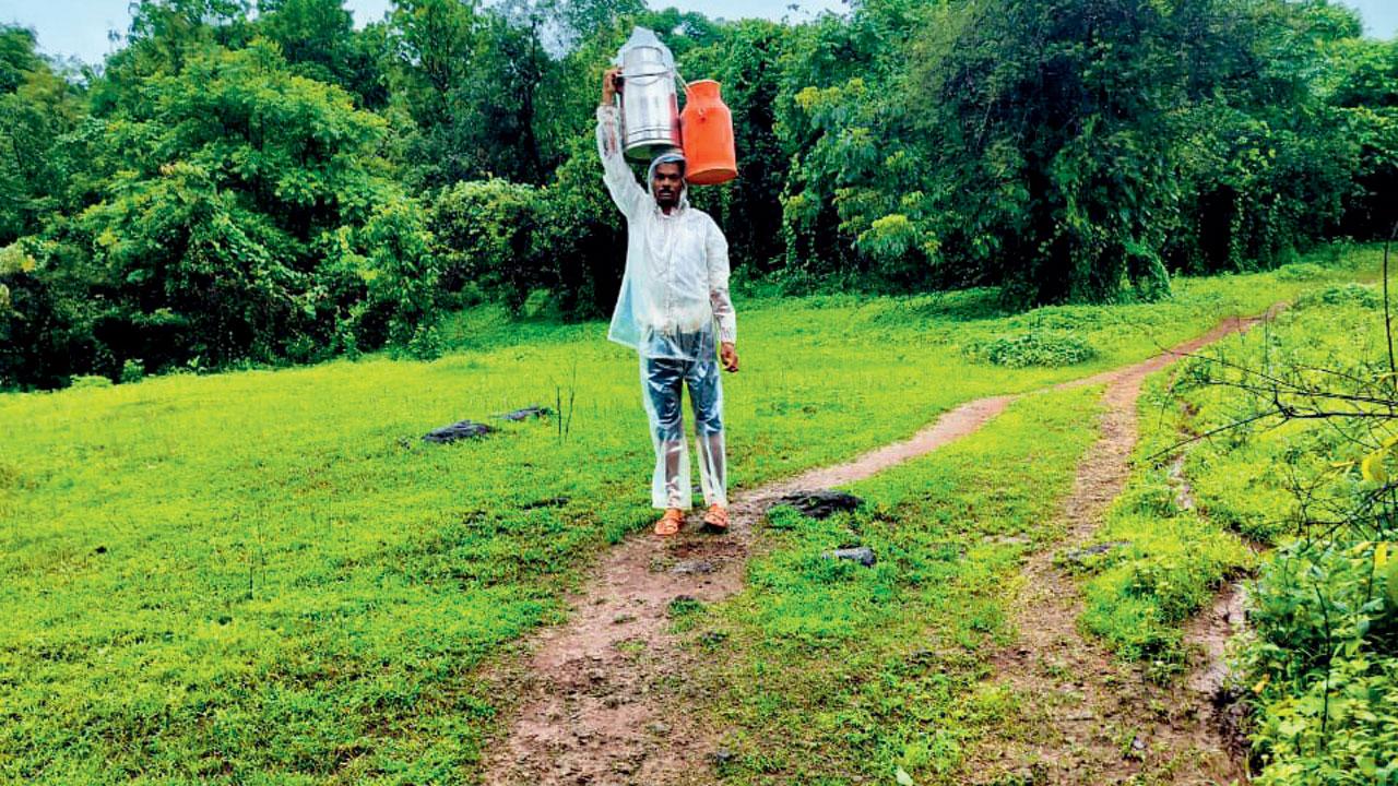 Many tribal residents of Karambali Thakurwadi and Kadai Dhangarwada carry canisters down the slippery slope every day to supply milk to the villages below
