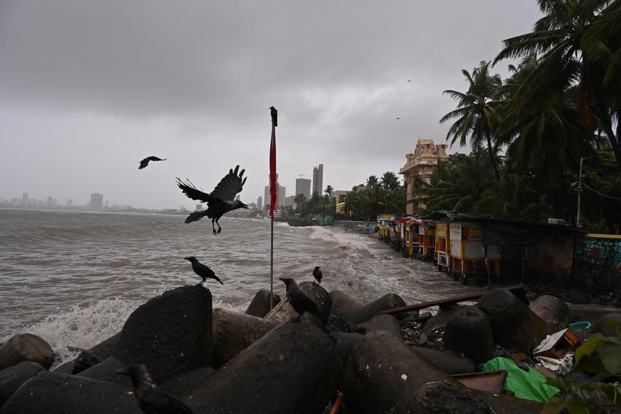 The municipal corporation has appealed to schools to inform parents and take necessary precautions