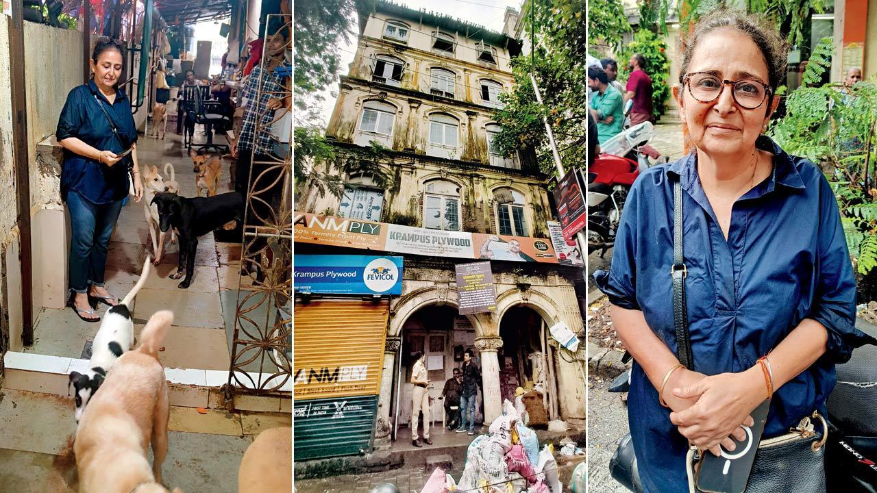 Mumbai: Dangerous building row leaves 48 dogs, 30 cats in lurch