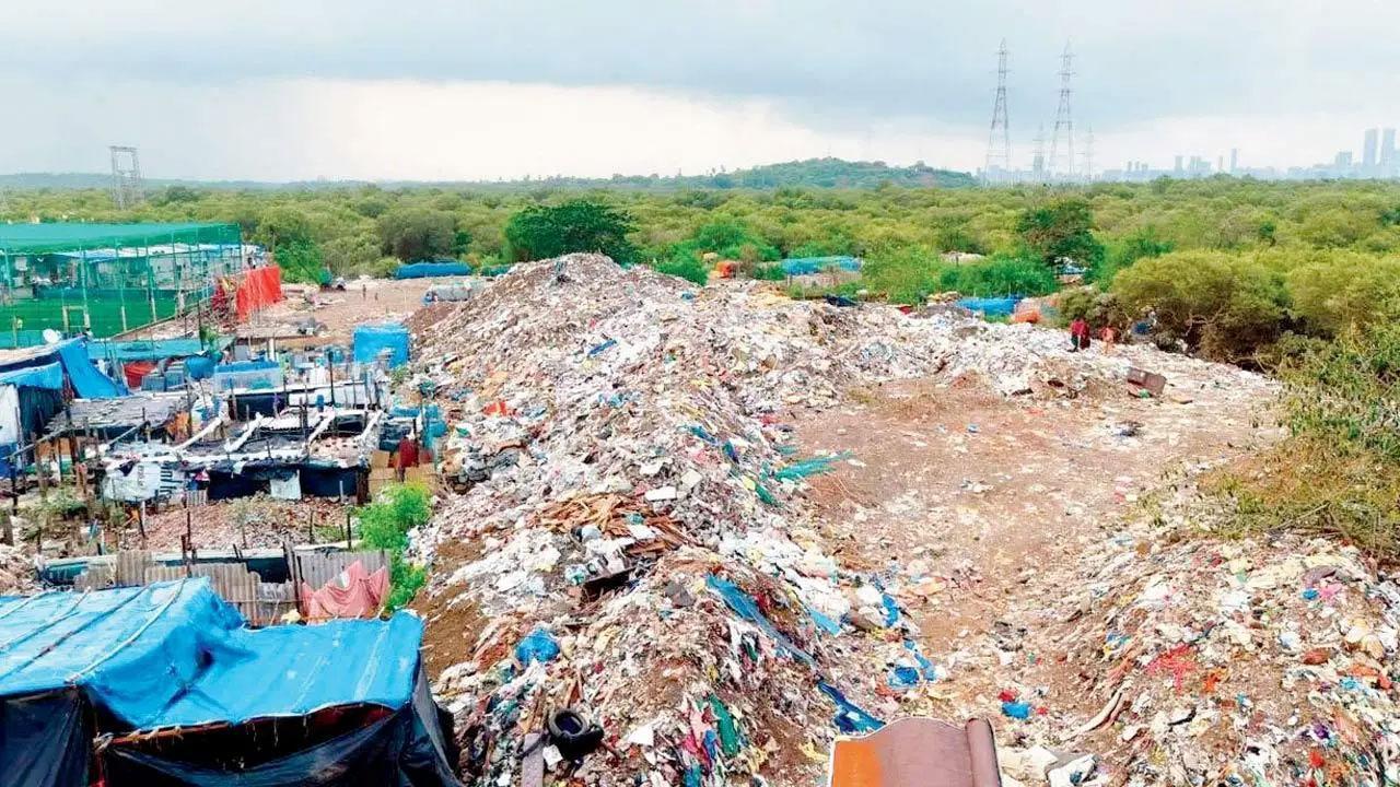 It’s on us to ensure city is not one big garbage bin