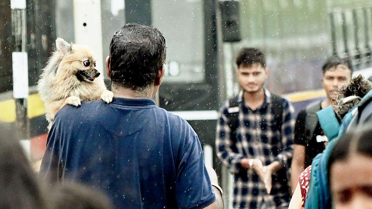 Mumbai Diary: Tuesday Dossier
