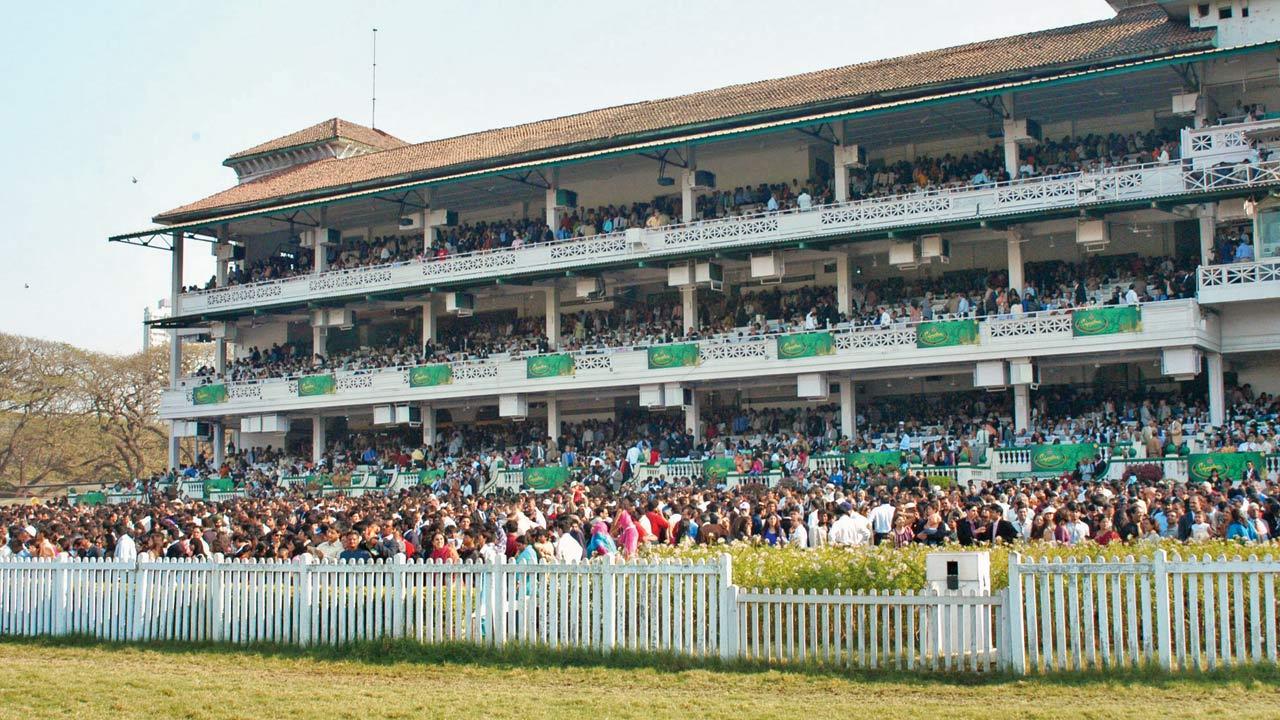 A packed house at the races