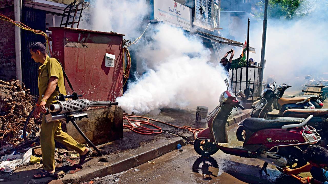 Mumbai: Experts concerned over incidence of Zika virus
