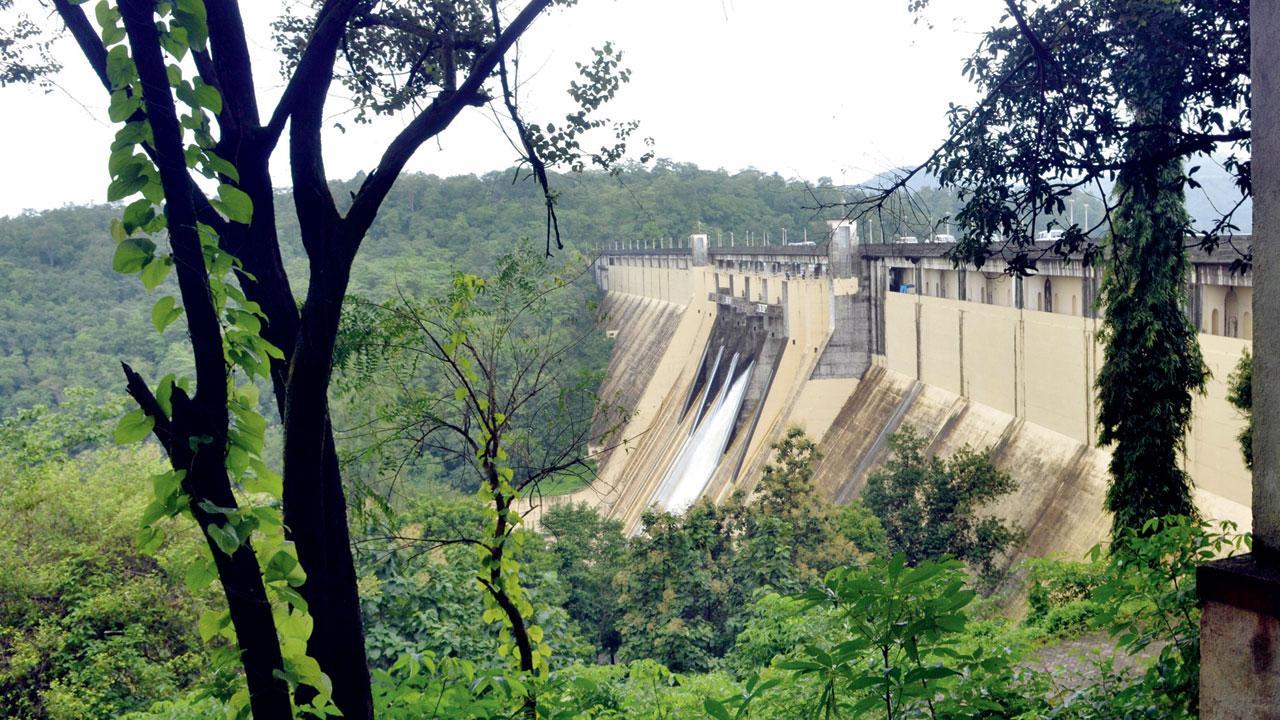 Mumbai soaked but catchment area still dry