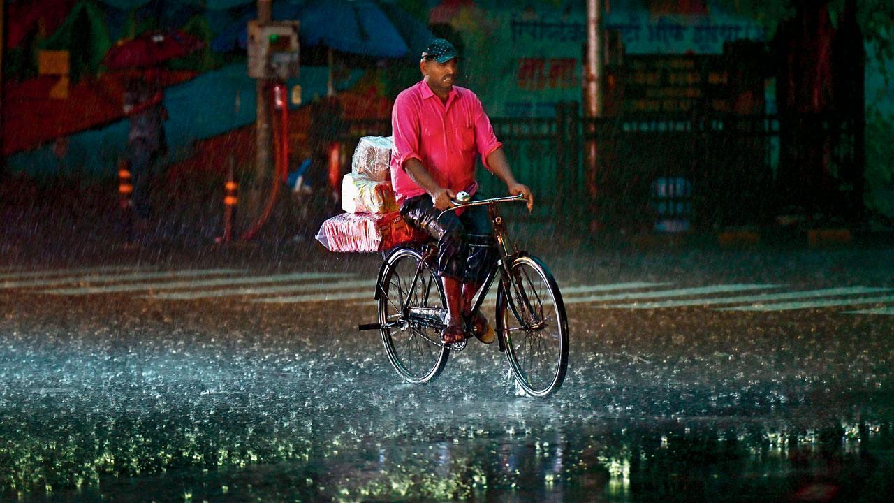 Mumbai Diary: Wednesday Dossier
