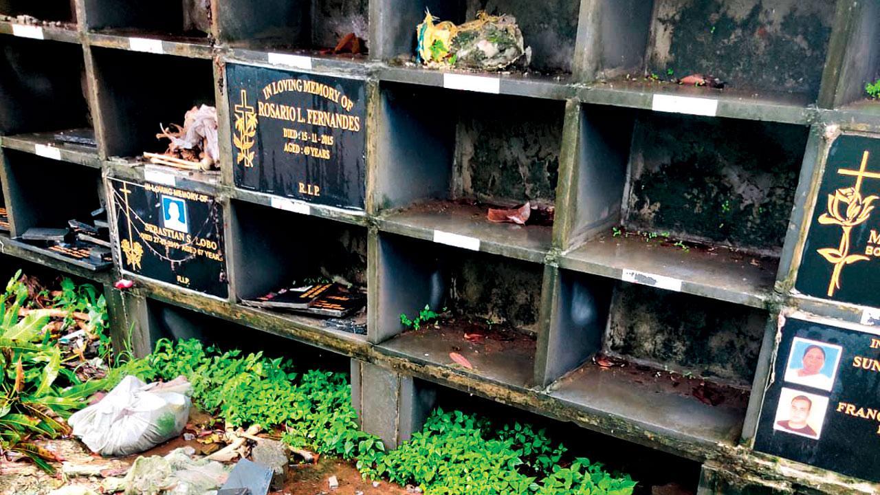 Mumbai: Niches vandalised at Holy Cross Church’s cemetery in Juhu