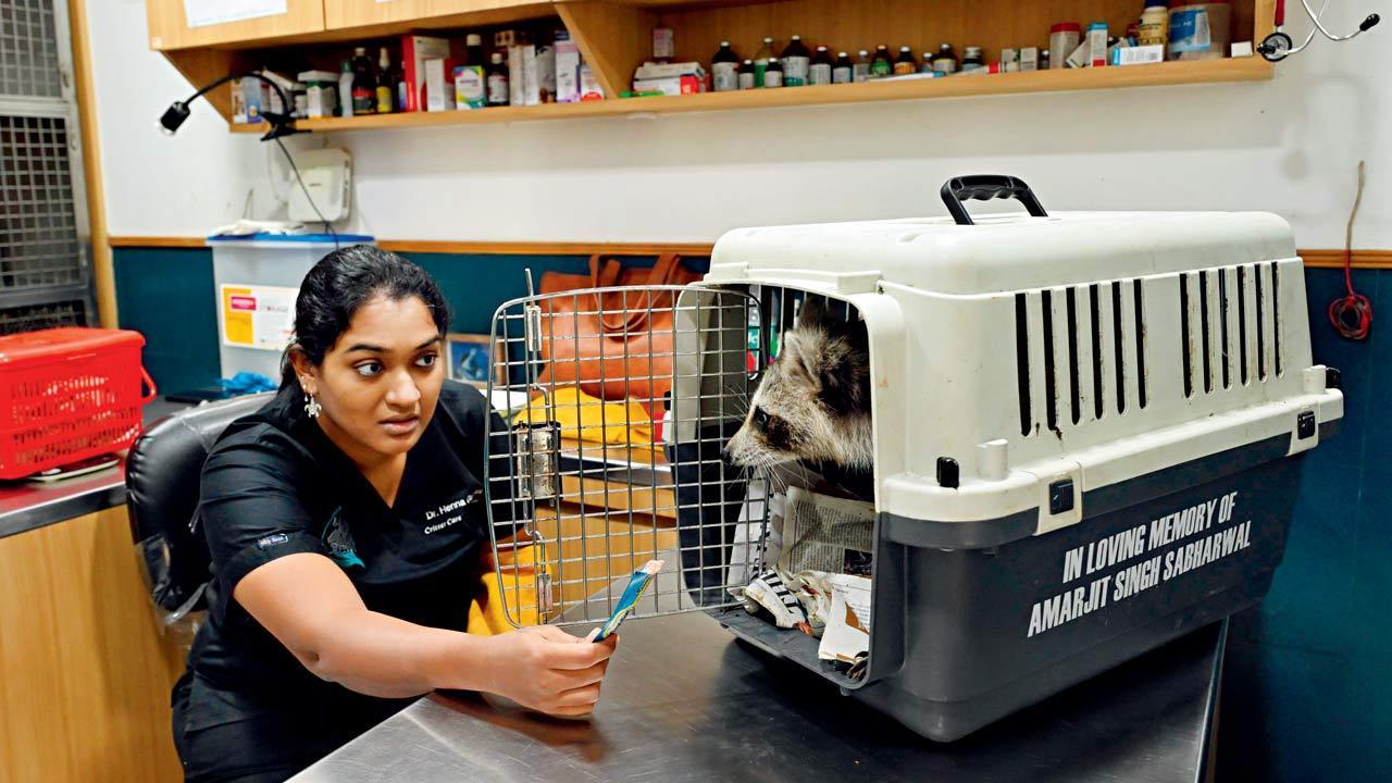 Hum aapke hain coon?