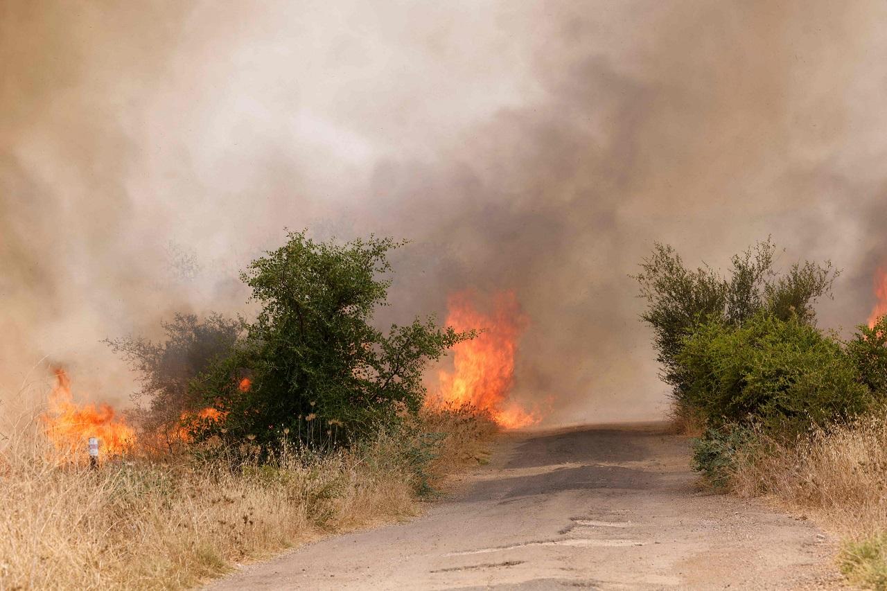 While details of an Israeli draft proposal have surfaced in local media, including provisions for negotiations to begin within a specified timeframe, the Israeli Prime Minister's Office has refrained from confirming the authenticity of these documents