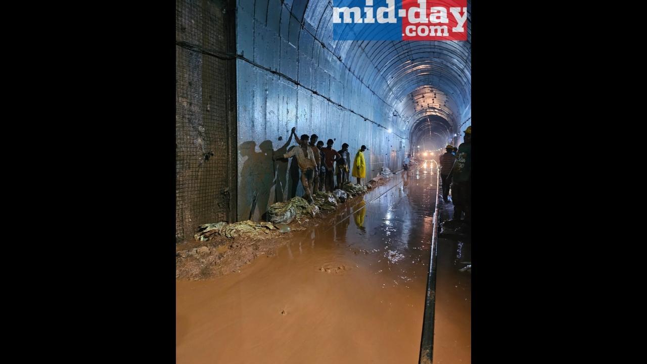 Trains on Konkan Railway route halted due to water seepage in tunnel