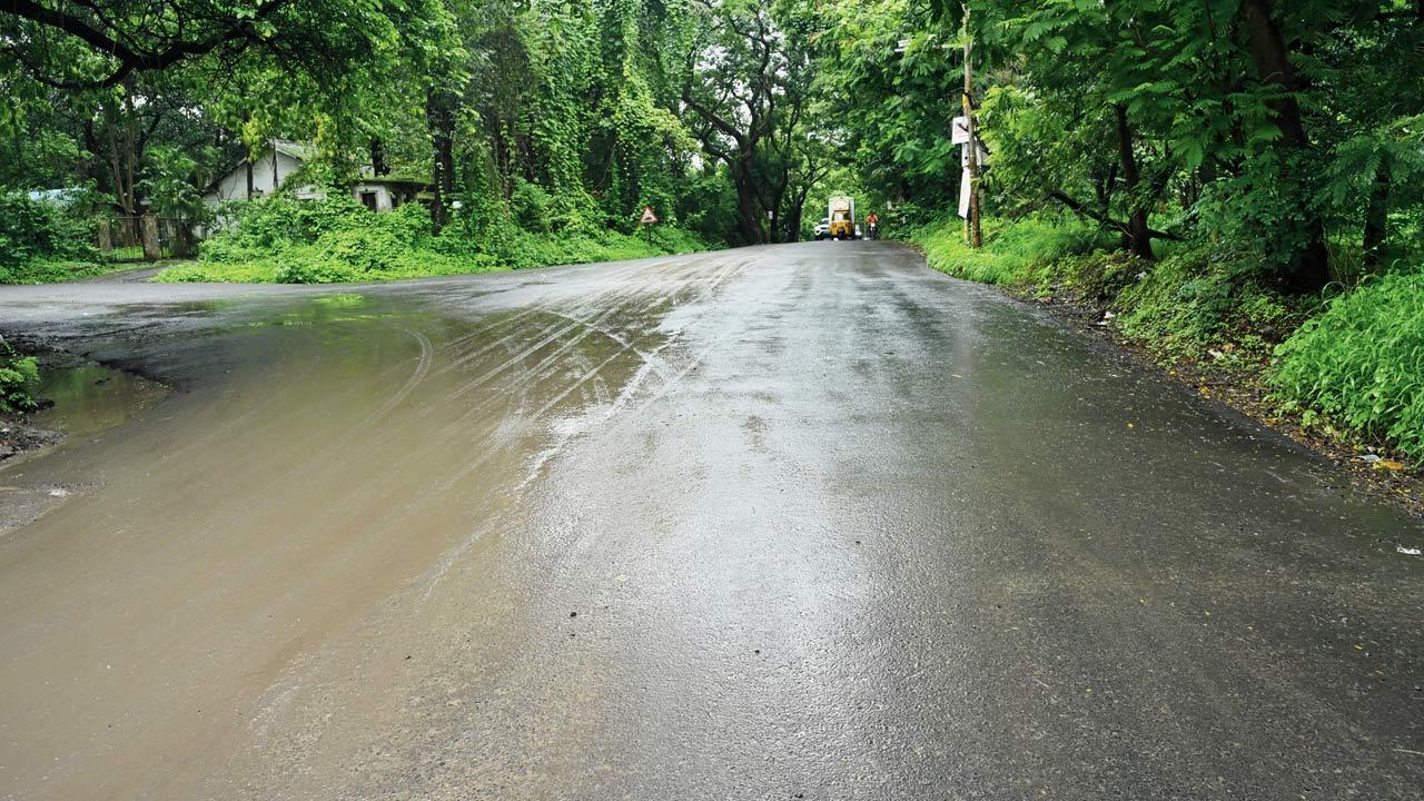 Mumbai: Locals doubtful as Aarey road gets second repair in two months