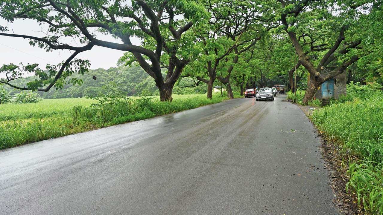 After: The current road after the potholes were fixed. Pic/Atul Kamble