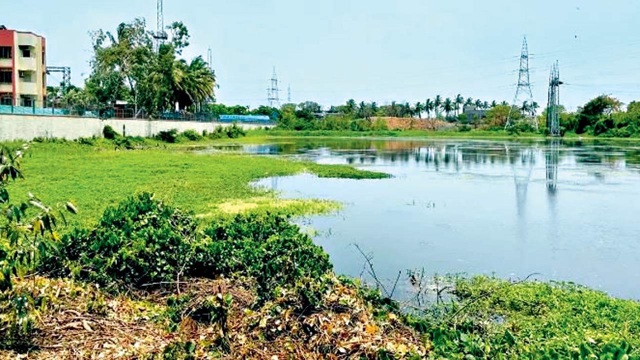MID-DAY IMPACT| Lokhandwala lake: Human rights body pulls up babus