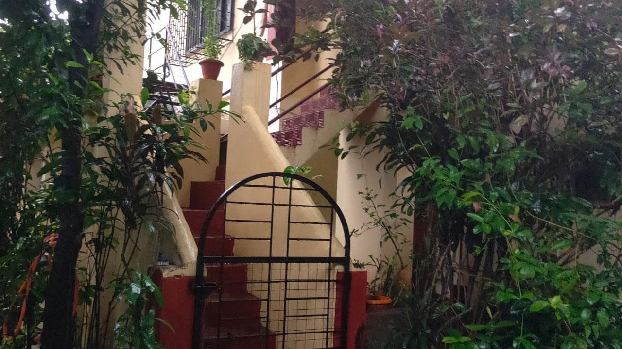 Midday Special | Marvelling at Marve: How this Mumbai village survives on the community’s togetherness