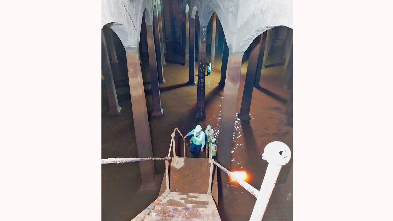 Exclusive | Mumbai: More trees might be saved at Malabar Hill reservoir