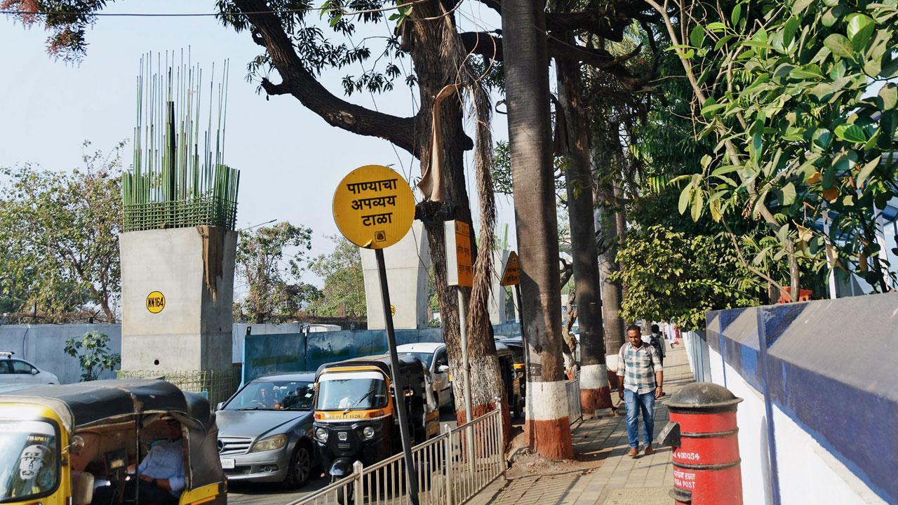3,000 trees to be planted across Mumbai
