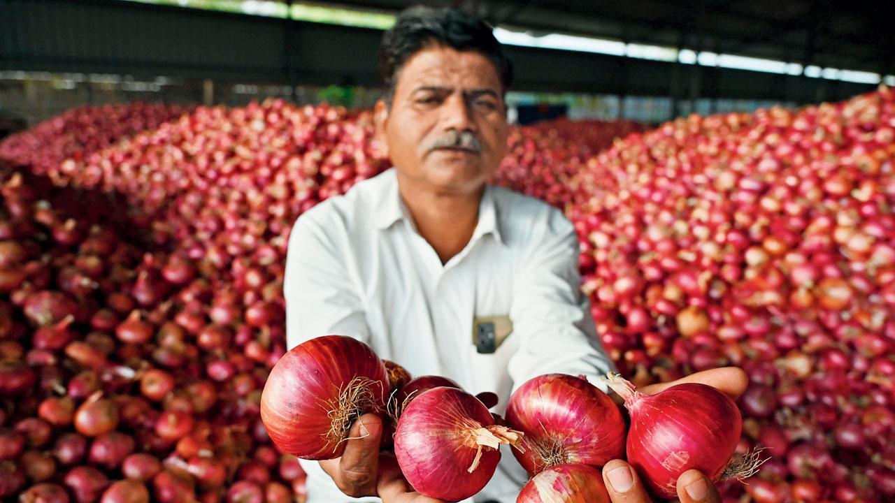 CM Shinde says, Onion banks to start, to give relief to cultivators
