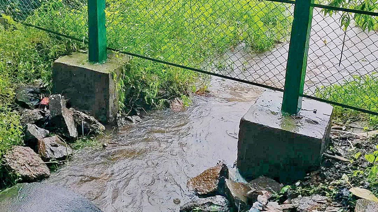 A view of the flooding in the pond. Pic Courtesy/Instagram