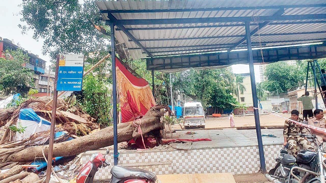 Mumbai: Passer-by dies after trees collapse in Worli