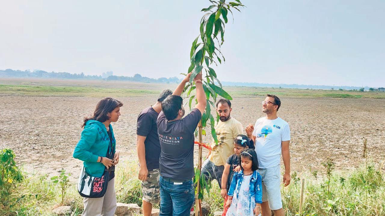 Residents plant a tree in the Sun City neighbourhood to inaugurate the project 