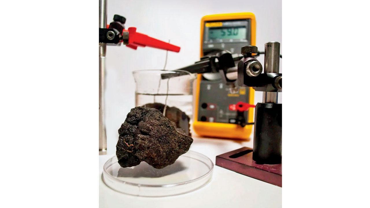 Did life begin in sea metals?