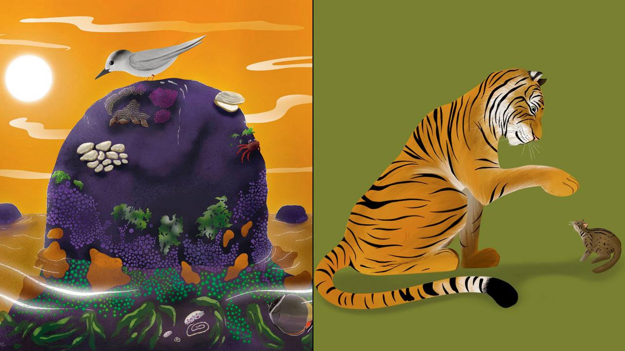 An illustration portrays how lifeless rocks near sea shores become home to a diverse range of wildlife; (right) the Royal Bengal tiger, India’s largest wild cat, with the country’s smallest wild cat, the rusty-spotted cat