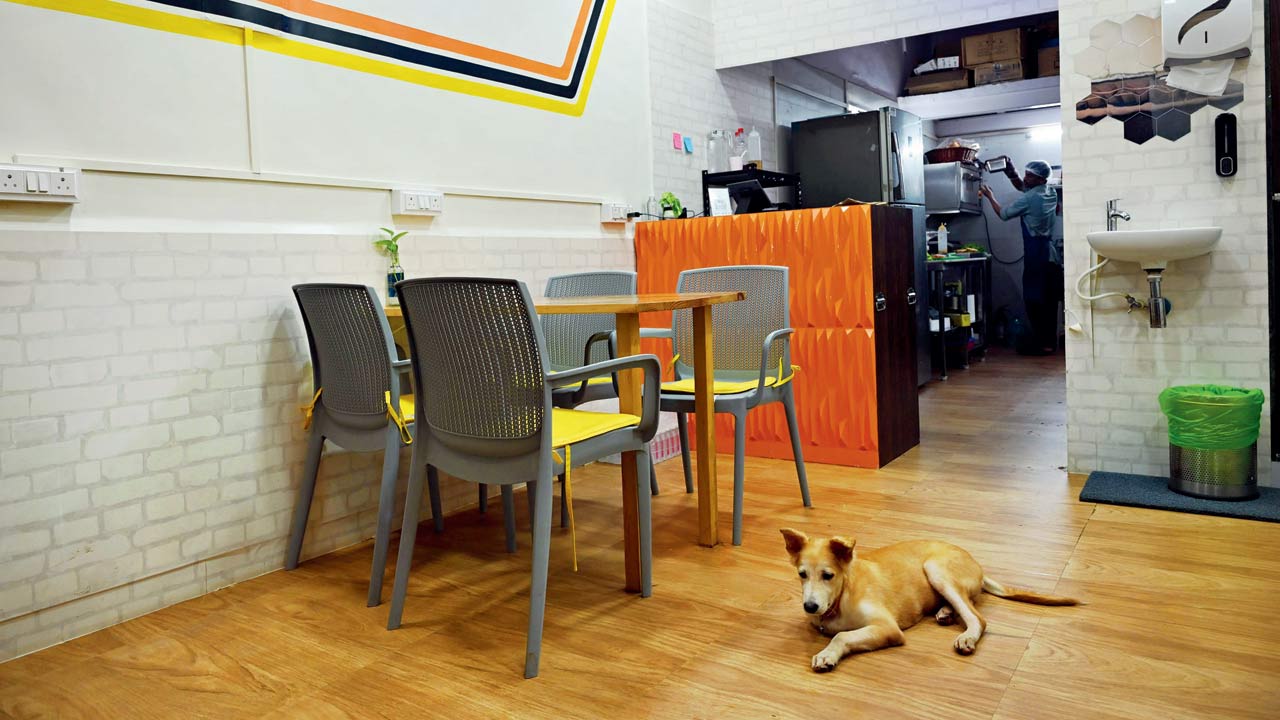 The 10-seater sandwich shop that serves Goan food can get busy on weekends. Pics/Satej Shinde 