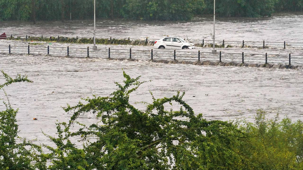 Flooded by man-made issues, urban jungles are here to perish