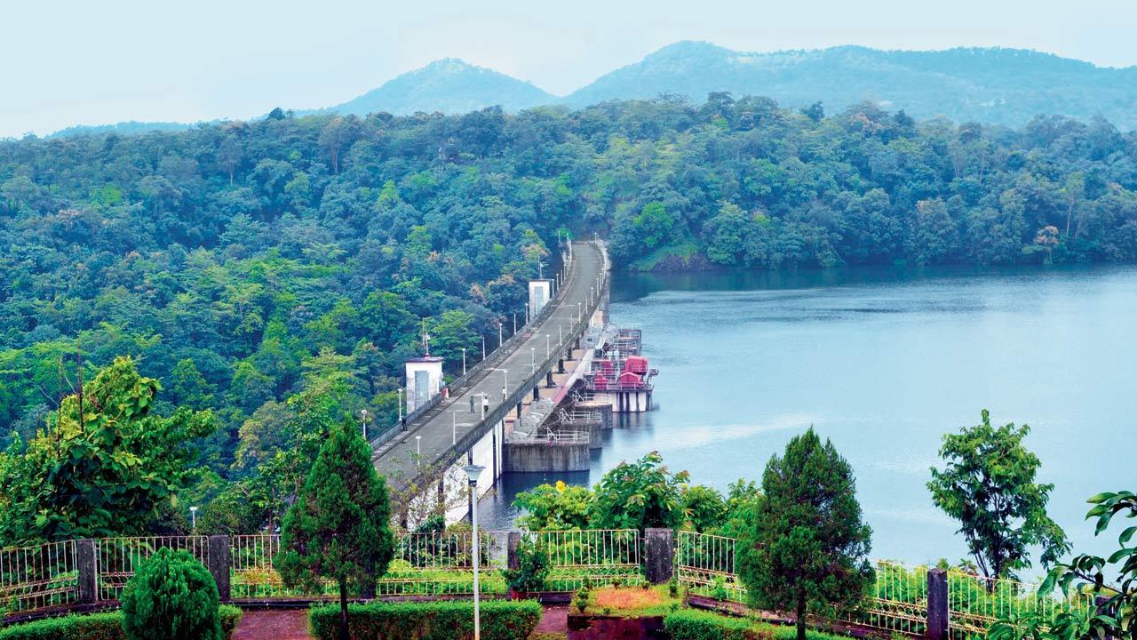 Reservoir water levels rise to 26 per cent amid heavy rain