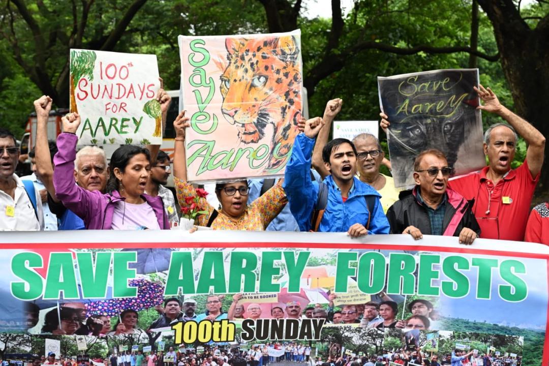 In Photos: Aarey supporters mark 100th Sunday protest in Mumbai