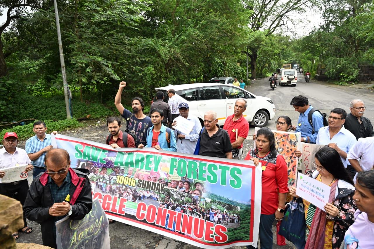 The Aarey Colony was established in 1949 across 1,287 hectares of land in Goregaon and it comes under the jurisdiction of Maharashtra’s dairy development department