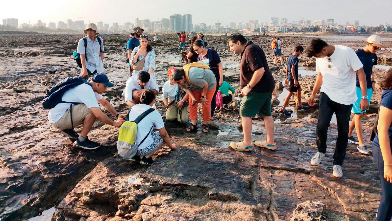 Participants examine a tide pool at a previous shorewalk