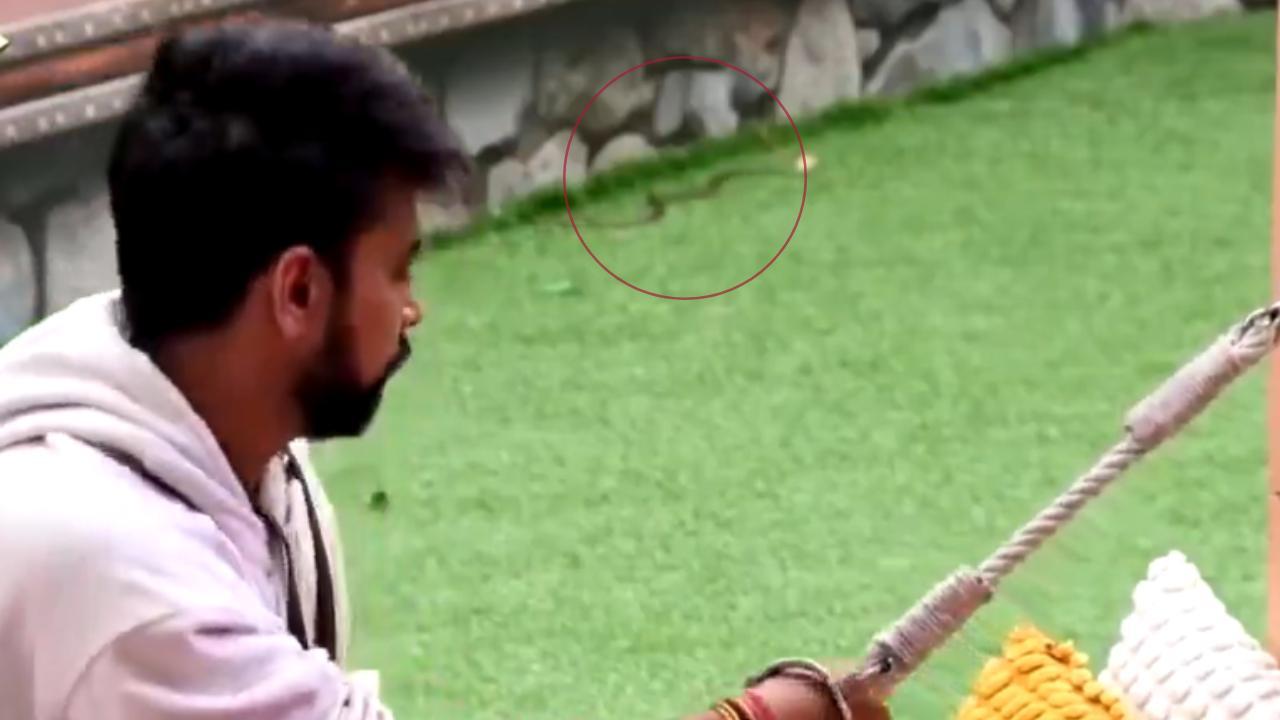 Bigg Boss OTT 3: Eagle-eyed fans spot snake near Lovekesh Kataria, see the viral clip