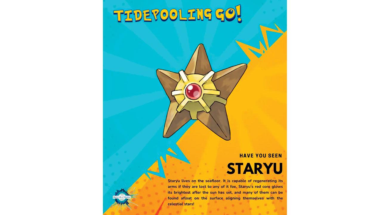 The latest clue features Staryu
