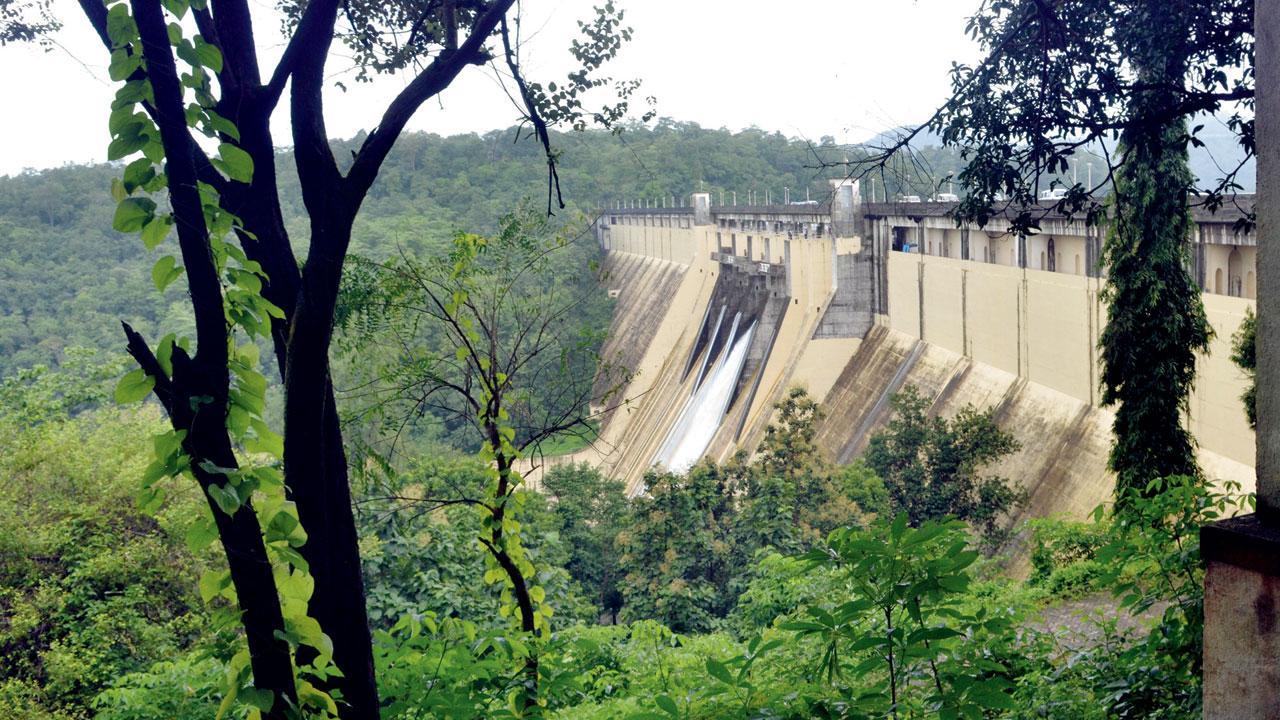 Mumbai rains: Finally, rain over city’s lakes!
