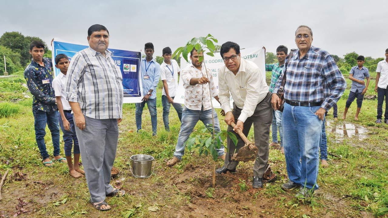 Members at a tree plantation drive in Wada earlier this year 