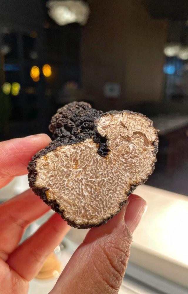 Toast Pasta Bar in Lower Parel has unveiled a new menu that celebrates black summer truffles by uniquely using them in six different kinds of dishes