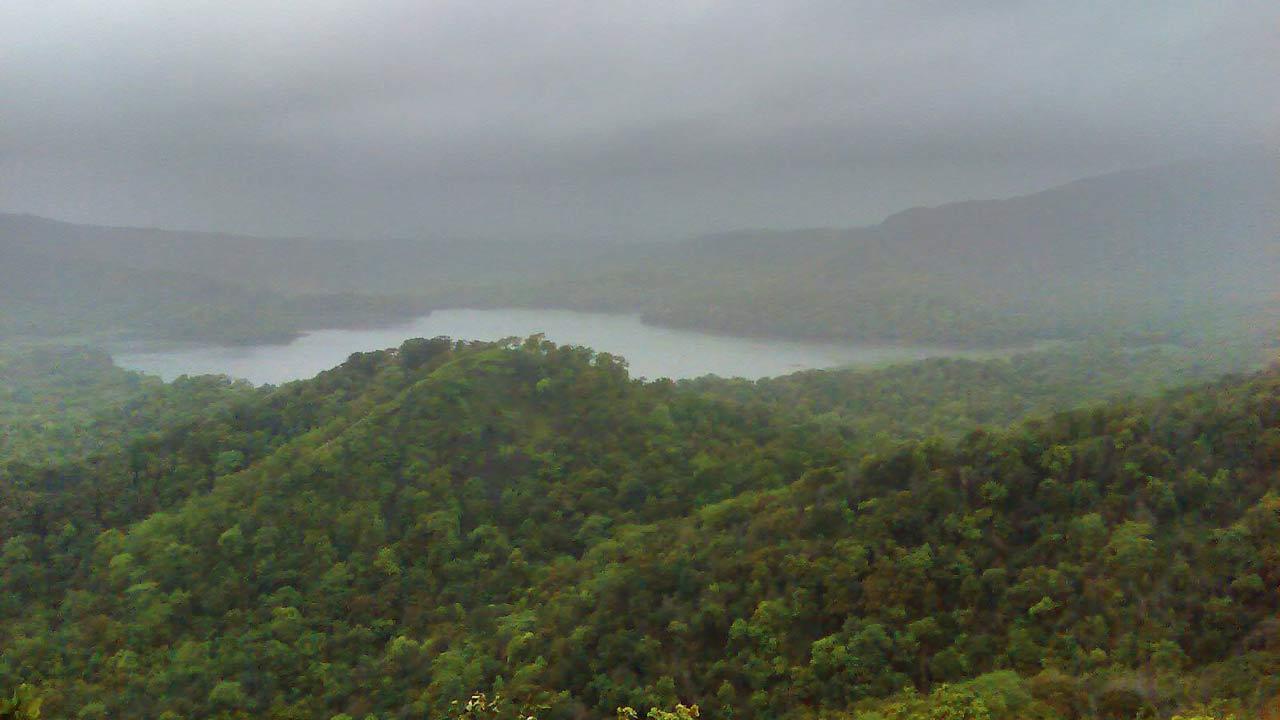 Mumbai rains: Tulsi lake overflows, water stock now at 40 per cent
