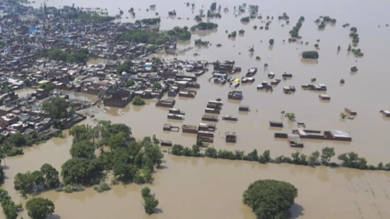 Flood-affected area triggered by continuous monsoon rains in Pilibhit. Pics/PTI