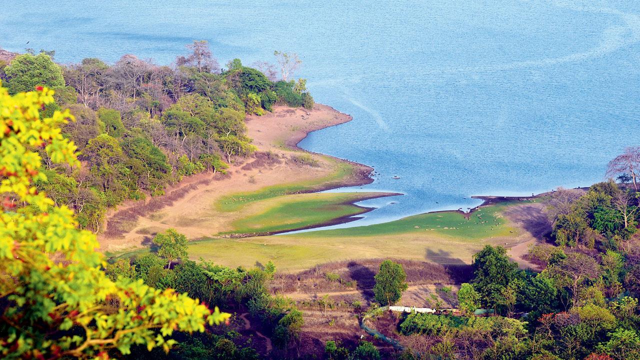 Mumbai: Water stock in city lakes climbs to 25 per cent