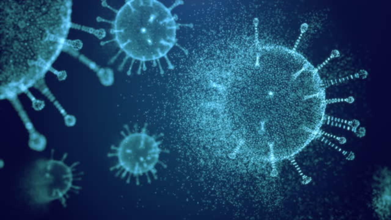 Chandipura virus: Know all about the infection that has claimed children's lives in Gujarat