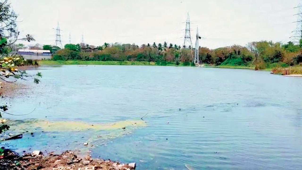 Lokhandwala lake is a crucial habitat for migratory bird species. File pic