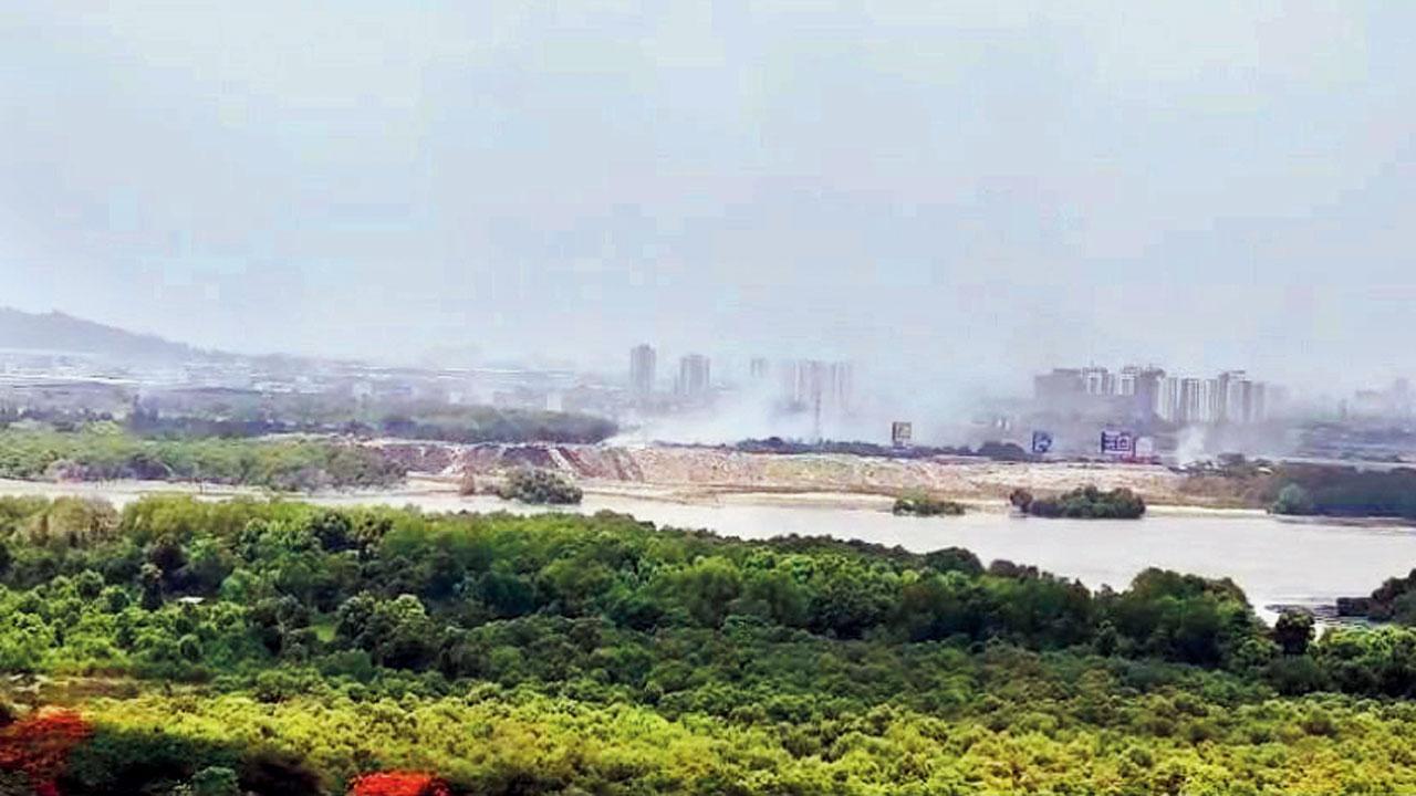 Thane: Video exposes land mafia’s role in dumping of debris on wetlands