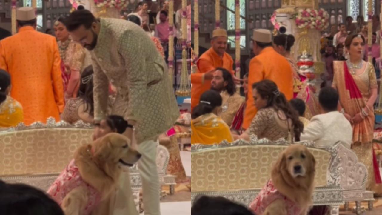 Anant Ambani's dog 'Happy' is the cutest family member in a sherwani at the wedding 