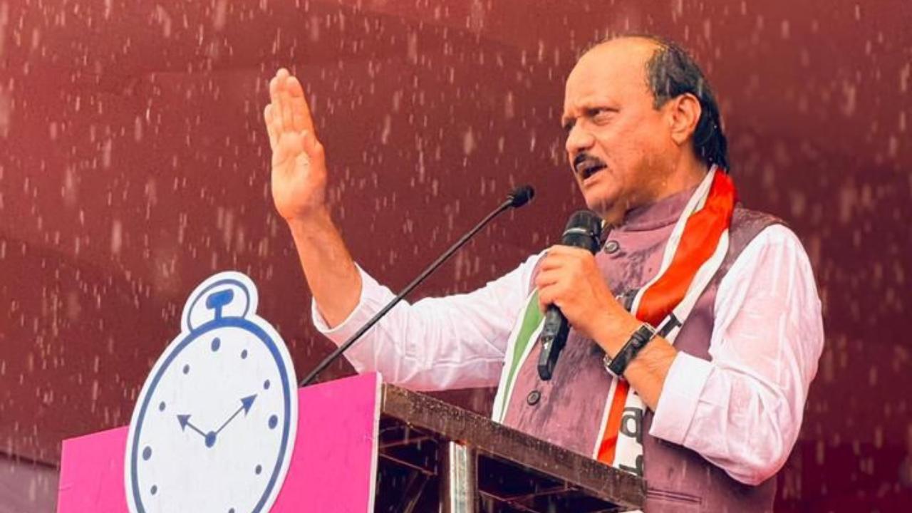 Pawar said the Ladki Bahin scheme (for financial assistance to women), and measures like three free LPG cylinders, free college education for girls, free electricity for farmers and skilled entrepreneurship for youth were included in the budget with an aim to ensure the welfare of all sections of the society