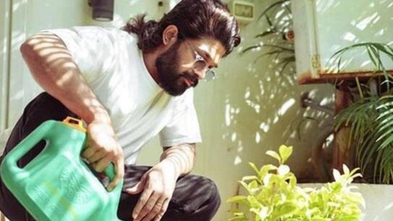 World Nature Conservation Day: 5 reasons why Allu Arjun is a green warrior