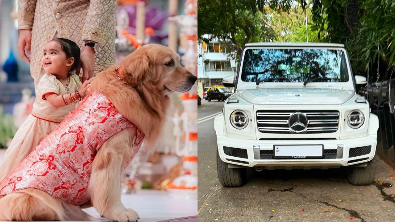 Did you know? Ambani dog Happy owns a luxury car worth Rs 4 crore