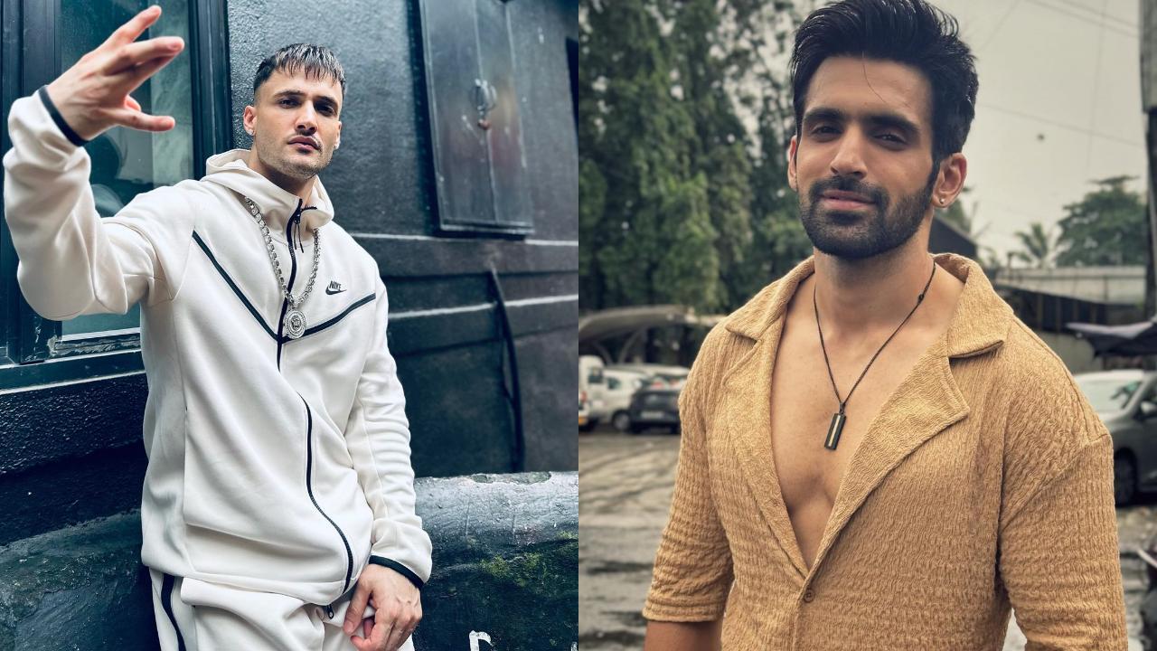 Arjit Taneja indirectly calls Khatron Ke Khiladi contestant Asim 'deluded AF'