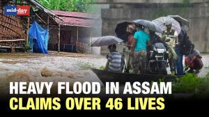 Assam Floods: 46 dead due to severe floods in Assam 